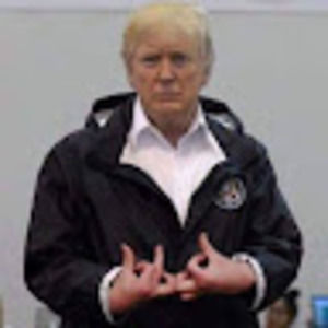 Meet your Posher, Wesley